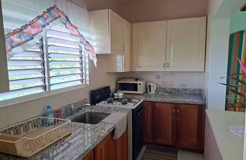 Saint Andrew Apartamento | Charming 1-bedroom apartment with WiFi, AC in lovely Kingston