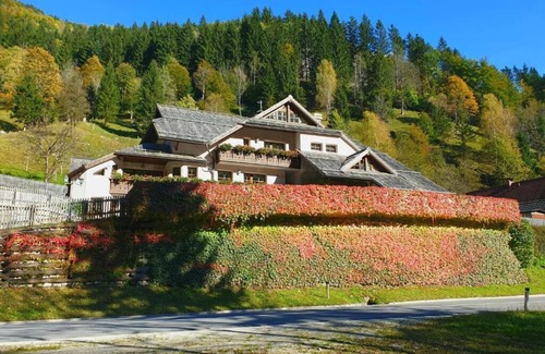 Solcava Apartamento | Charming 1-bedroom apartment - Savinja