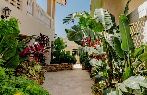 Noord Villa | Charming 1-bedroom Apartment 2 km From Eagle Beach