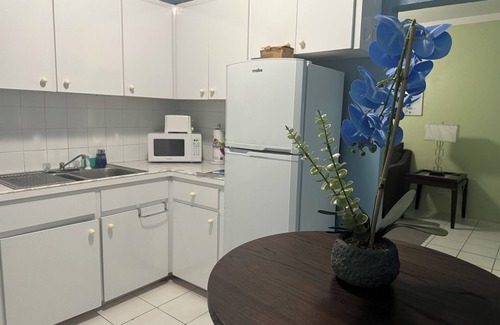 Belair Estates Apartamento | Charming 1 bedroom apt with king size bed in pleasant Nassau - KBG #2