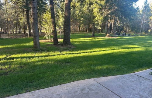 Rathdrum Apartamento | Charming 1-bedroom shop apartment on 5 acres in quiet culdasac