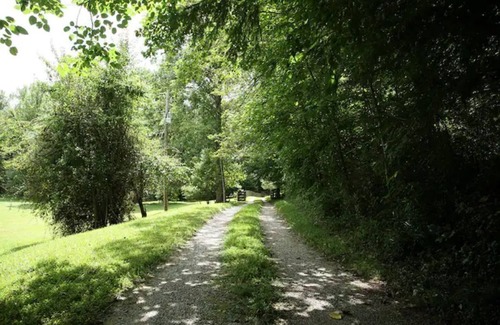 Dahlonega Cabaña | Charming 1935 Cottage: "The Little House"