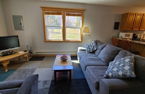 Turtlepoint Cabina | Charming 2-bedroom, 1 bath cabin along a stocked trout stream in God's Country!