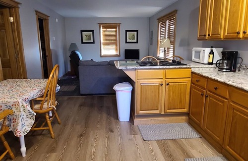 Turtlepoint Cabina | Charming 2-bedroom, 1 bath cabin along a stocked trout stream in God's Country!
