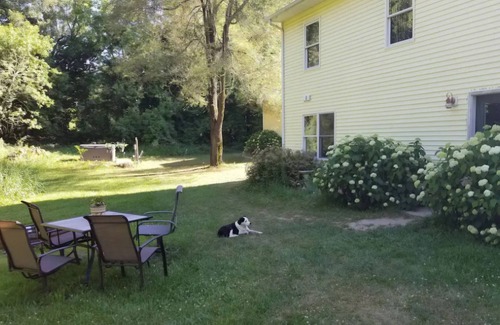 Hastings Apartamento | Charming 2-bedroom apartment with outdoor hot tub in rural area, private yard.