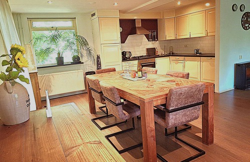 Schoonoord Casa | Charming 2-bedroom bungalow with WiFi and AC in a quite forest