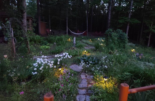 Vanderbilt Cabina | Charming 2-bedroom cabin in delightful Vanderbilt with WiFi, AC