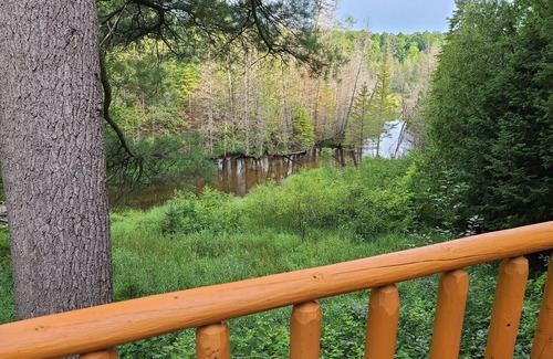 Vanderbilt Cabina | Charming 2-bedroom cabin in delightful Vanderbilt with WiFi, AC
