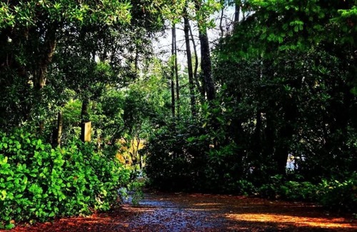 Florence Cabaña | Charming 2-bedroom cottage near Heceta Beach