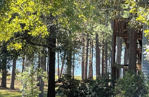 Brookeland Cabina | Charming 2-bedroom fishing cabin located near Lake Sam Rayburn