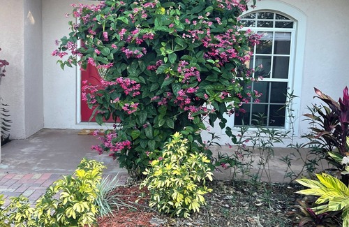Greater Northdale Casa | Charming 2-bedroom house in welcoming Tampa with AC