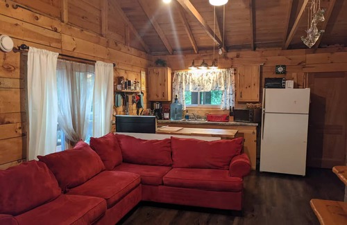 Brantingham Cabina | Charming 2-bedroom on Serene Lake Cabin in Greig