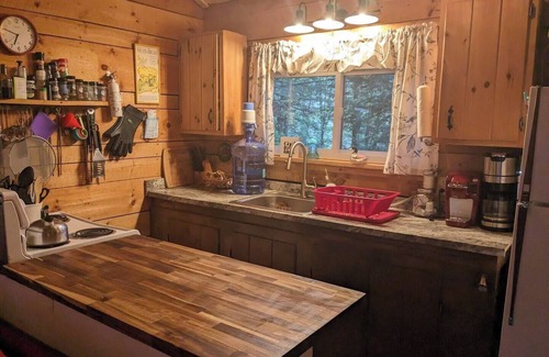 Brantingham Cabina | Charming 2-bedroom on Serene Lake Cabin in Greig