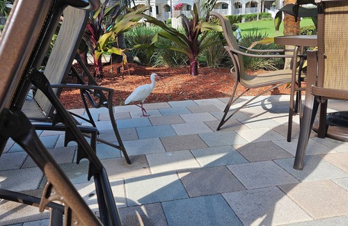 Key West Complejo | Charming 2-bedroom resort with WiFi, fitness room in phenomenal Key West.