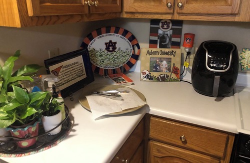 Auburn Casa | Charming 2-bedroom townhome in welcoming Auburn with AC, WiFi, 1897 Sqare feet