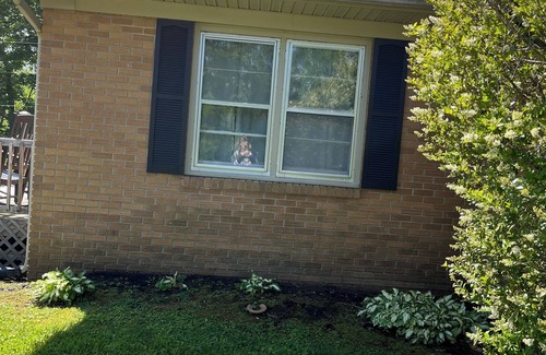 Miracle Casa | Charming 3-bedroom house with WiFi, AC in Pineville Kentucky