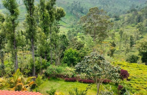 Kotagiri Cabaña | Charming 4-bedroom cottage in quaint Kotagiri with WiFi