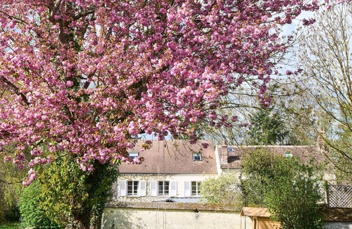 Montigny-sur-Loing Casa | Charming and bright house 10min walk from the river and forest!