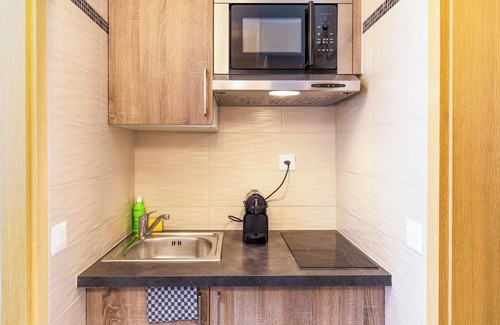 Downtown Geneva Apartamento | Charming Apartement- 1br-4p- Geneve
