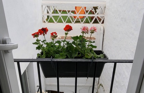 San Jorge Apartamento | Apartamento con encanto, en pueblo, entre mar y montaña. Con zona spa.