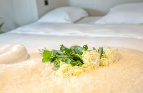 Ghent Apartamento | Charming Attic Retreat in Historic Ghent Center