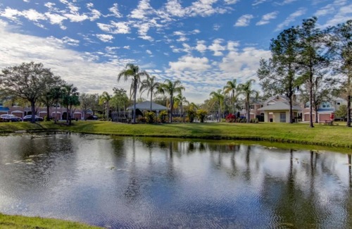 Wesley Chapel Casa | Charming Bedroom in the Heart of Wesley Chapel