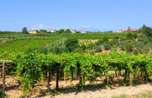 Villalfonsina Hotel | Charming Boutique B&B Hotel Amber