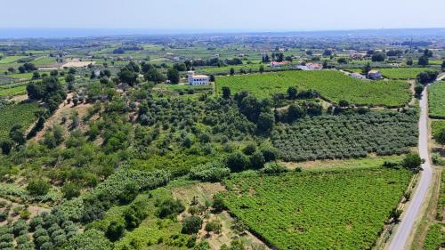 Villalfonsina Hotel | Charming Boutique B&B Hotel Amber