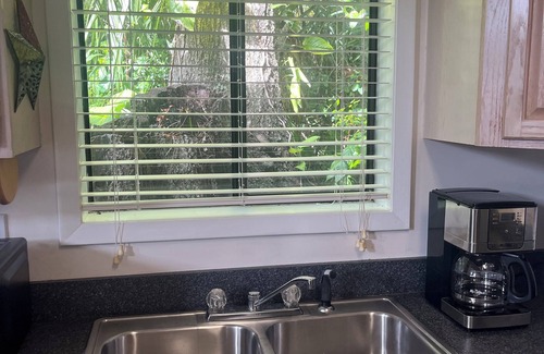 South Daytona Casa | Charming bungalow with WiFi and AC in fantastic South Daytona
