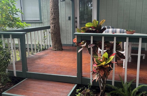 South Daytona Casa | Charming bungalow with WiFi and AC in fantastic South Daytona