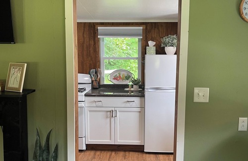 Painted Post Cabina | Charming cabin for 2 near Corning-Watkins Glen NY, quiet, great location.