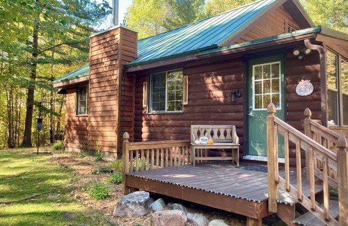 Powell Cabina | Charming Cabin in Heart of Recreation & Fall Colors + Sauna, Fire Pit, TreeHouse