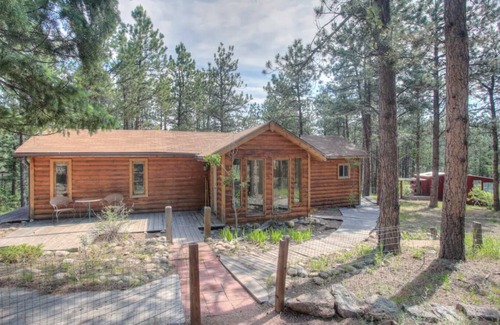 Pine Cabina | Charming Cabin on Dream Property