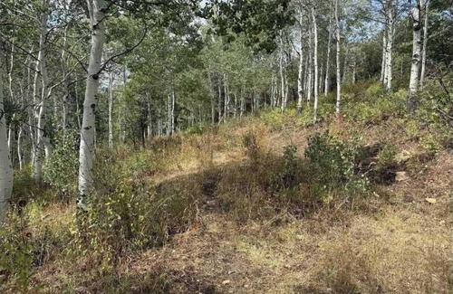 Stagecoach Estates Alquiler De RV | Charming campground with tent in Park City for a cozy getaway