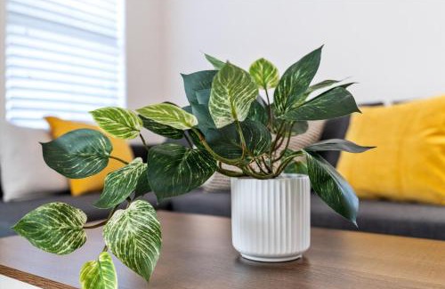 Greenslopes At Lake Creek Casa | Charming casa near historic Downtown, Kalahari etc