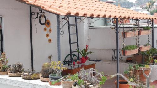 Zona Centro Apartamento | Charming Cocoon with Balcony - Historic downtown