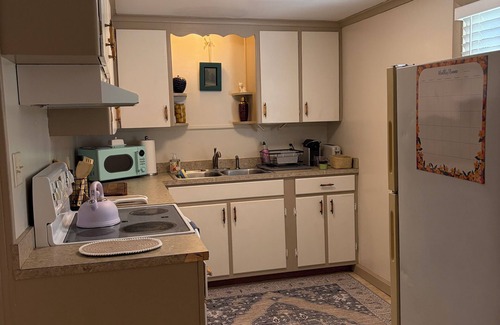 Kalamazoo Apartamento | Charming, comfortable 1 Bedroom/1Bath on gorgeous historic street.