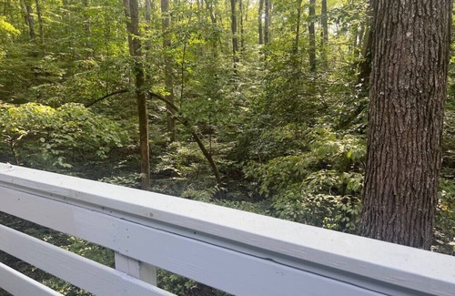 Westminster Apartamento | Charming Condo By Lake Hartwell
