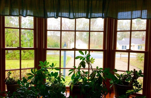 Cotuit Casa | Encantadora Cape Cod Cottage, ventoso, luminoso y pacífico