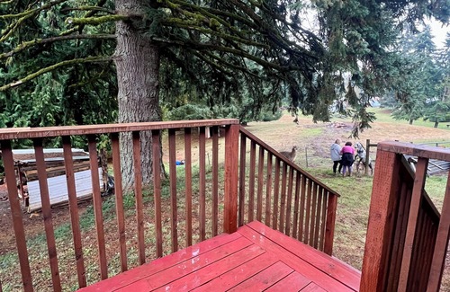 St. Helens Cabaña | Charming Cottage In Gorgeous St Helens Frog’s Hollow Is Family & Pet Friendly