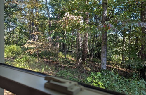 Winston - Salem Cabaña | Charming cottage in Winston-Salem with WiFi and AC