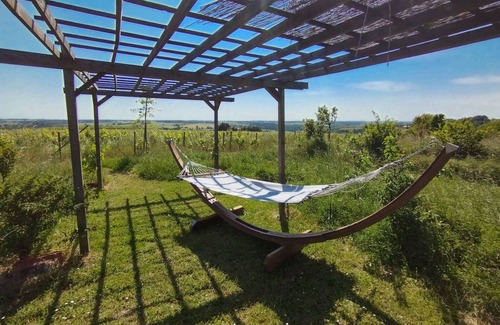 Val-du-Layon Cabaña | Casa rural encantadora con vistas, 4 dorm., terraza y jardín