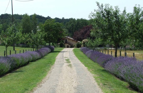 Le Bugue Cabaña | Casa rural con piscina y jardín, clima, cerca de Le Bugue
