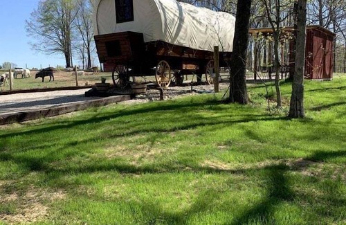 Lindseyville Casa | Charming Covered Wagon on Live Petting Zoo for Memorable Family Glamping Stays in Brownsville, Kentucky