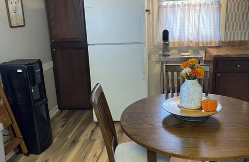 Canton Cabaña | Charming, cozy cottage in amazing Canton with WiFi, AC