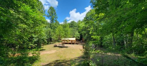 Lenoir Otro | Charming enclave Luxury tent in the woods Tent 3 Bambi's playground