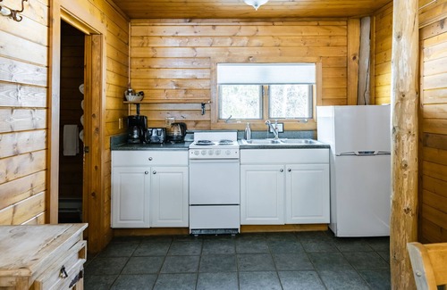 Pitkin County Cabina | Charming Historic Mountain Cabin at Dreamy Art & Nature Retreat Center