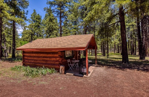 Parks Cabina | Charming & Historical 1 Room Log Cabin / Forest Views/ 20 minutes from Flagstaff