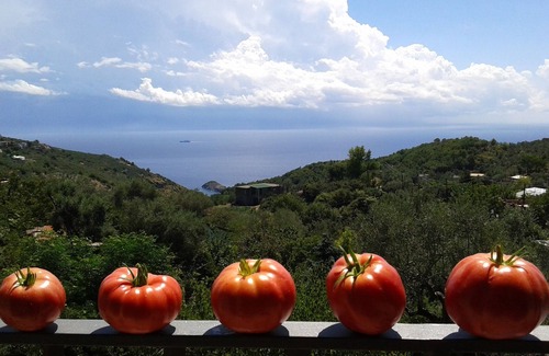 Sant'Agata sui Due Golfi Apartamento | "Charming House" Country Chic Home with sea view