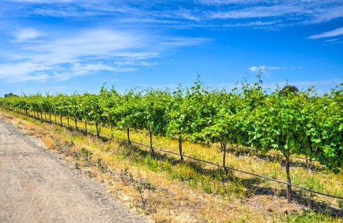 Victor Casa | Charming Lodi Retreat Walk to Local Wineries